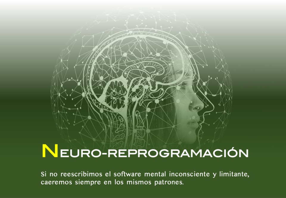 Neuroreporgrmación